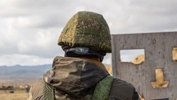 Путин подписал закон о статусе ветерана боевых действий для добровольцев