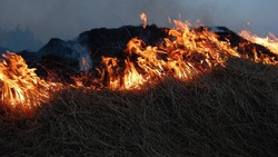 Баня и сухая трава горели ночью в центре Сахалина    