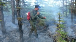 Жителям Сахалинской области напомнили правила пожарной безопасности в лесу