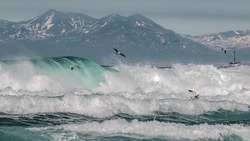 «Вот это волны!»: изумрудный океан на Итурупе восхитил своей красотой. Видео