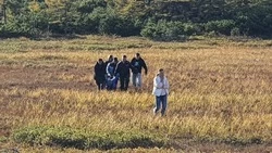 Поисковики нашли мертвой пропавшую в Охинском районе пенсионерку