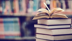 В среднем россияне читают по десять книг в год – опрос Авито