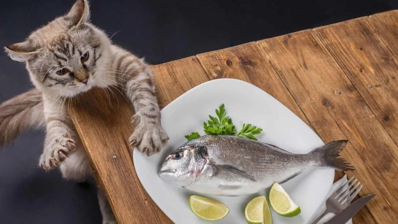 Свежую рыбу по низким ценам привезли в Томари и Долинский район 8 августа