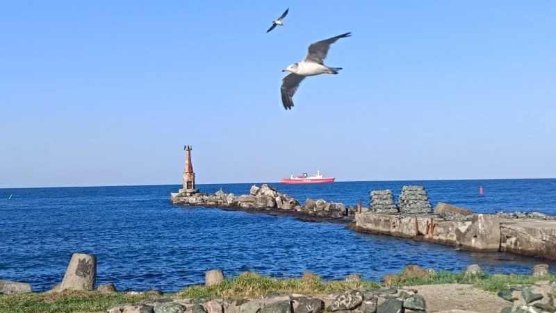 Паром «Сахалин-8» отправится на плановое техобслуживание с 6 июня 