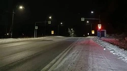 На расчистку сахалинских дорог выйдут почти сто дорожных рабочих 8 декабря 