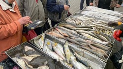 230 тонн доступной рыбы съели жители Сахалинской области за полгода