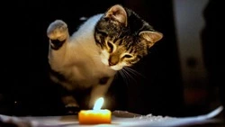 Часть Южно-Сахалинска осталась без света 19 сентября