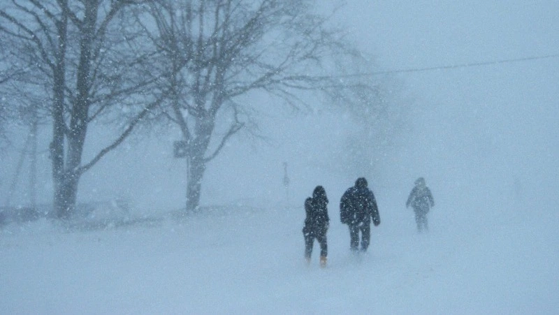 УГМС: ближайшей ночью Южные Курилы накроет ураган