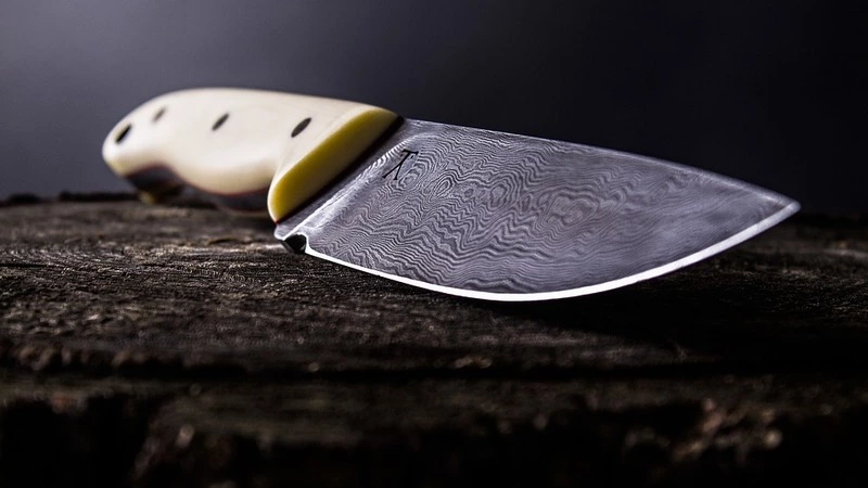 Сахалинка зарезала любовника, который только вышел из колонии