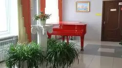 Скрипкам и роялю в школе искусств Корсакова больше не угрожает сахалинская влажность