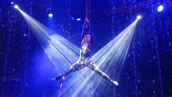 На Сахалине цирковой гимнаст сорвался с высоты во время трюка с воздушными полотнами