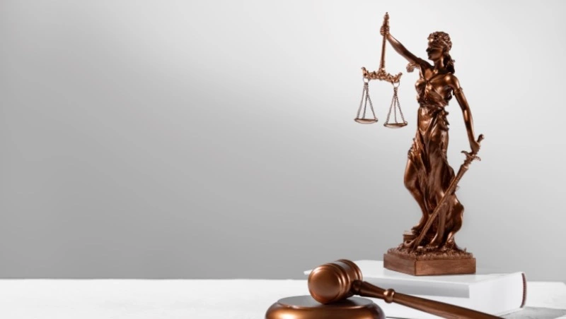  ООО «ОкеанСтрой» наказали за трудоустройство экс-чиновника из Приморья