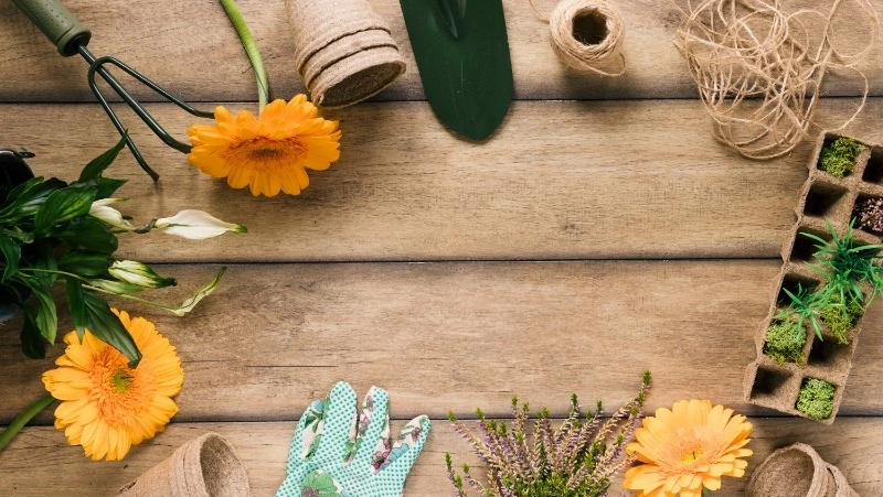 Авито: на весенней распродаже 69% россиян планируют купить растения, семена и рассаду