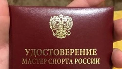 Звание мастера спорта присвоено сахалинцу Андрею Гринштейну