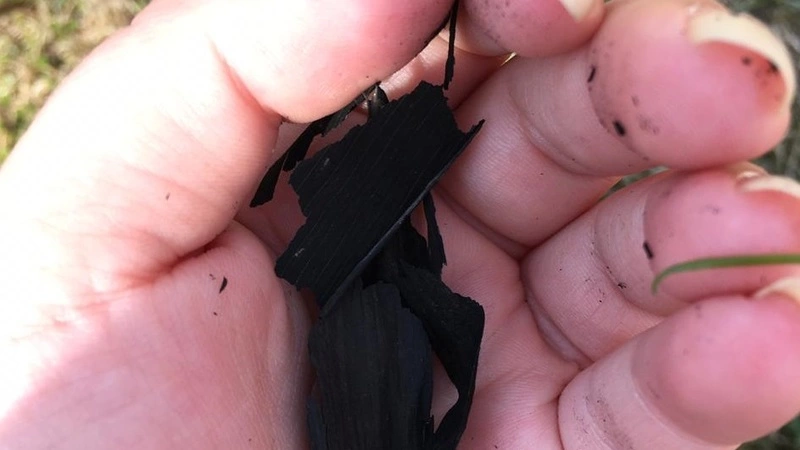 В Южно-Сахалинске на Пасху с неба упали черные хлопья