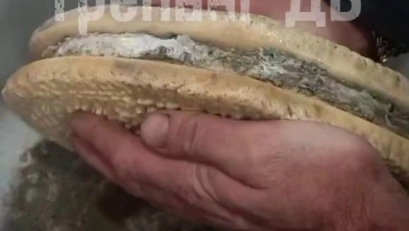 Сахалинские рыбаки достали из вод Охотского моря останки кита