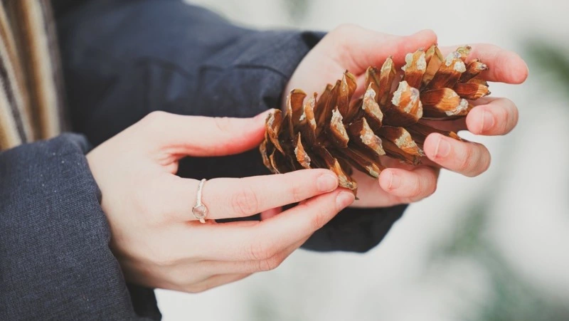 Зимний фотокросс для молодежи анонсировали в Южно-Сахалинске