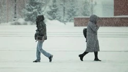 Метели и шквалистый ветер обрушатся на всю Сахалинскую область 2 декабря