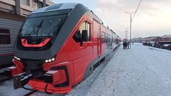 Рельсобусы хотят внедрить в систему общественного транспорта Южно-Сахалинска