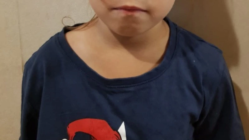 Маленькая девочка по имени Оливия потеряла родителей в Троицком