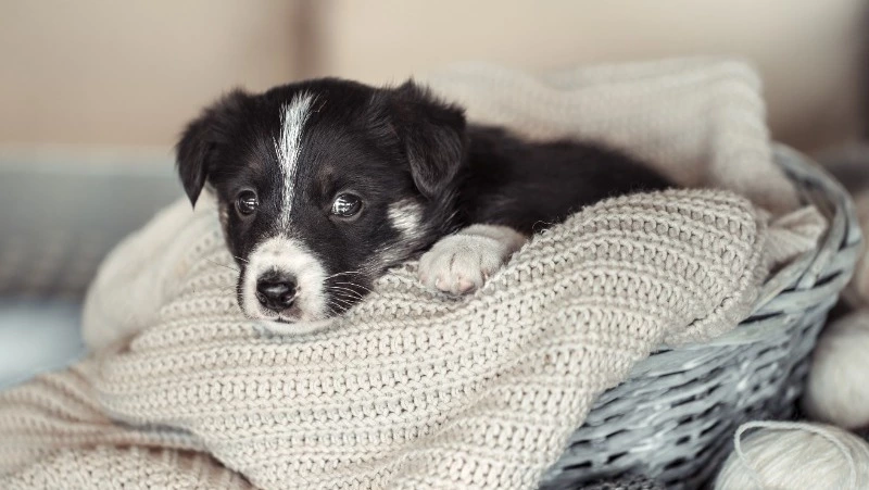 Отопление отключат на шести улицах Южно-Сахалинска 23 апреля