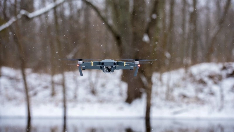 Сахалинская облдума поддержала инициативу по использованию беспилотников в лесном надзоре