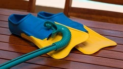 Сахалинец залез в сарай к соседке, чтобы украсть ласты и водолазные маски