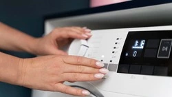 Сахар, морковь и стиральные машины подешевели на Сахалине за 2025 год