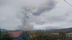  МЧС зафиксировало выброс пепла на вулкане Эбеко высотой до 3 км на Курилах 29 июля