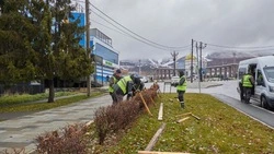 В Южно-Сахалинске укрывают кустарники и высаживают 80 тысяч тюльпанов