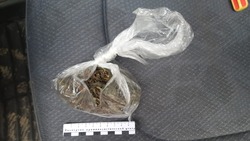 Полиция изъяла 8,8 кг марихуаны в автомобиле жителя Тымовского района
