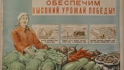 На женских плечах