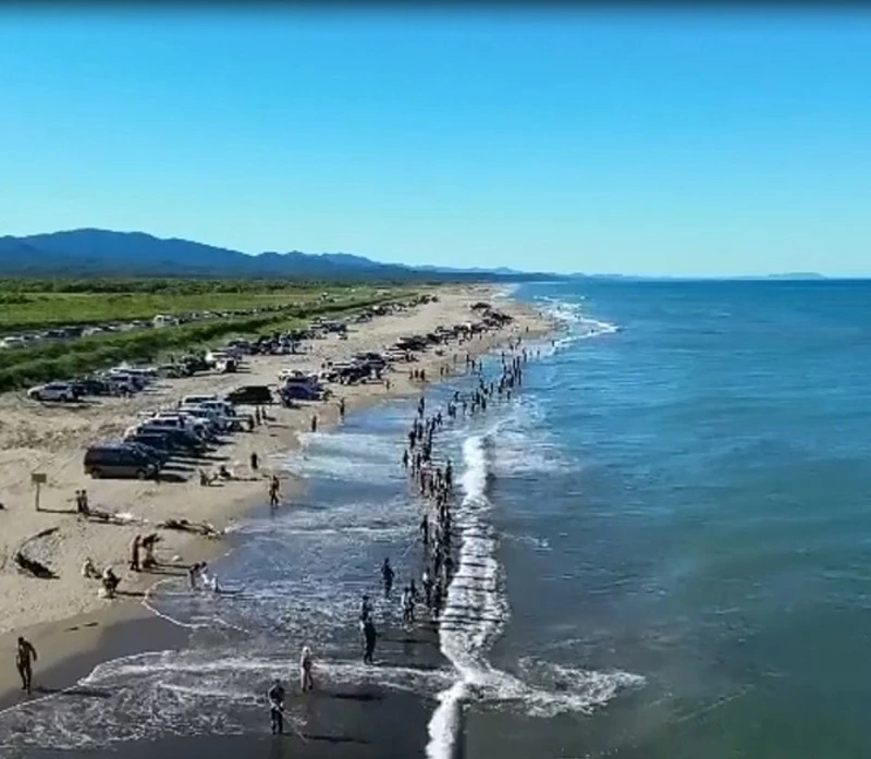 Толпы рыбаков в выходные оккупировали побережье Долинского района