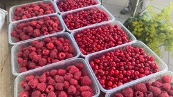 Цены на первую клоповку назвали в Южно-Сахалинске