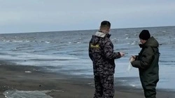 Рыбоохрана оштрафовала рыбаков почти на 100 тысяч за неделю рейдов на Сахалине и Курилах