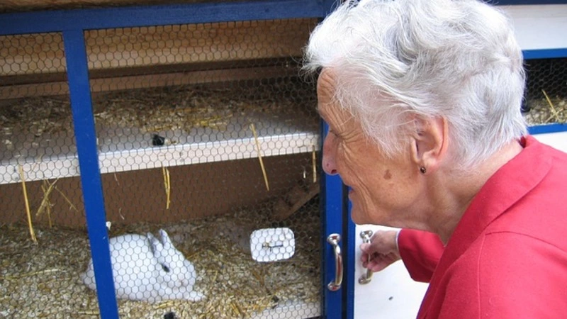 Ученые назвали ранние симптомы деменции