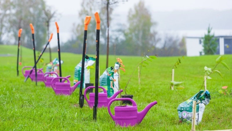 Аллею сахалинской вишни высадили в мастерской управления «Сенеж»