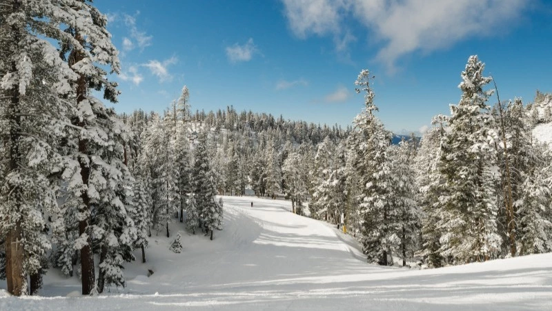 Погода в Южно-Сахалинске 2 января: штиль и до 0 градусов Цельсия