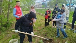 Воспитанники школы-интерната в Долинске присоединились к патриотической акции «Сад Памяти»