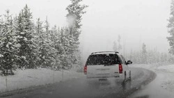 Семь автобусов вернулись на межмуниципальные маршруты в Сахалинской области после метели