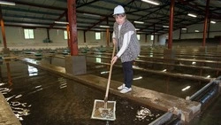 Эксперт «Архипелага 2024»: Прежде чем осетра съесть, его надо правильно накормить