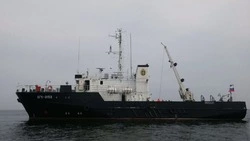 Поиски советской подводной лодки «Л-19» возобновили в проливе Лаперуза