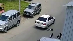 Водитель седана сбил 2-летнюю девочку в Южно-Сахалинске — ребенок пострадал