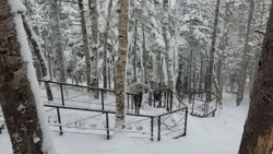 Туристы смогут добраться до «Лягушки» по новой лестнице круглый год