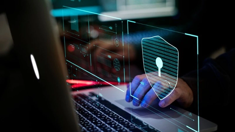 Дальневосточные компании в сферах ИТ и транспорта чаще всего сталкивались с DDoS-атаками