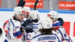 «Сахалинские Акулы» вырвали победу у «Динамо СПб» в овертайме 