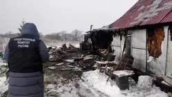 При пожаре в Березняках погибла 89-летняя женщина