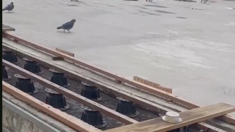 Сквер в Южно-Сахалинске пострадал от рук вандалов, но его скоро отремонтируют