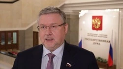 Трудовые мигранты будут платить налог на себя и каждого неработающего члена семьи: депутат Карлов