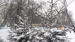 Снег и ветер спрогнозировали синоптики в Сахалинской области 4 февраля 